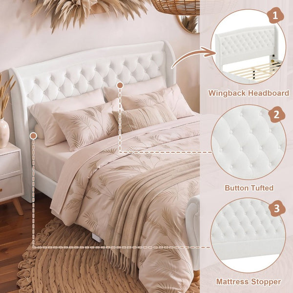 English Elm Queen Velvet Sleigh Platform Bed Wingback Tufted Headboard Carved Legs Elegant Bedroom Beige N733S485981A