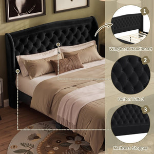 English Elm Queen Velvet Sleigh Platform Bed Wingback Tufted Headboard Carved Legs Elegant Bedroom Black N733S485981B