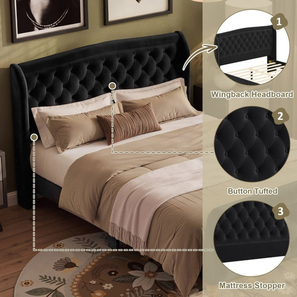 English Elm Queen Velvet Sleigh Platform Bed Wingback Tufted Headboard Carved Legs Elegant Bedroom Black N733S485981B
