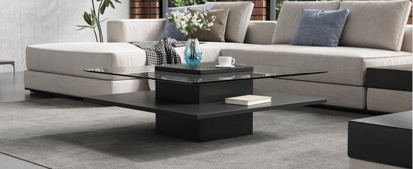 English Elm The Square Tempered Glass Coffee Table with Open Shelf for Modern Living Rooms Black N735P430947B