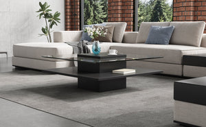 English Elm The Square Tempered Glass Coffee Table with Open Shelf for Modern Living Rooms Black N735P430947B
