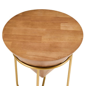 English Elm Minimalist Solid Wood Gold Metal Round Accent Table for Bedroom or Living Room N768P464746G
