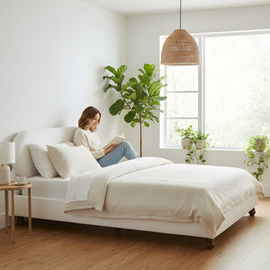 English Elm Cream-colored Boucle King Bed Curved Upholstered Frame with Rubberwood Legs N769K426836W