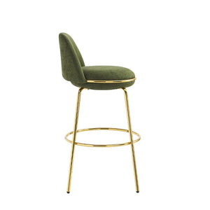 English Elm Rio Claro Velvet Barstools with Gold Frame Set of 2 for Kitchen Island or Pub Counter N775P268026N