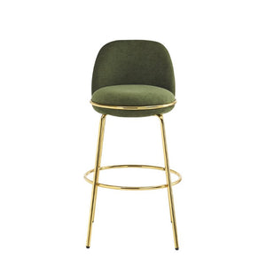 English Elm Rio Claro Velvet Barstools with Gold Frame Set of 2 for Kitchen Island or Pub Counter N775P268026N