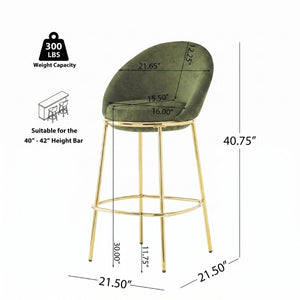English Elm Celano Velvet Shell Back Barstools with Gold Legs Glam Kitchen Seating Set of 2 N775P268055N