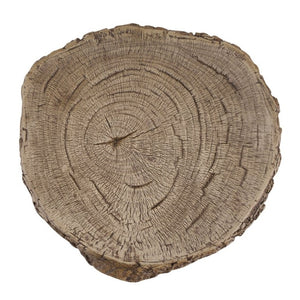 English Elm Tree Stump MGO Side Table Weatherproof Organic Accent for Patio or Living Room N776P372341N