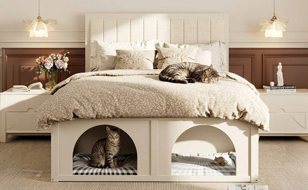 English Elm Queen Platform Bed with Pet Nook Arched Frame and Channel Tufted Velvet Headboard Beige N820S00086A