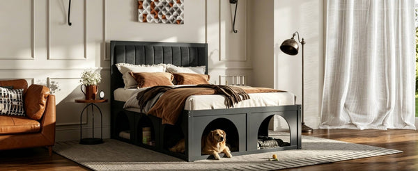 English Elm Queen Platform Bed with Pet Nook Arched Frame and Channel Tufted Velvet Headboard Black N820S00086B