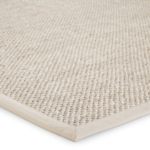 Jaipur Living Naturals Sanibel Naples Nas09 Handwoven Handmade 100% Sisal Solids Solid Indoor Rug Tan, Taupe 100% Sisal, 100% Latex Rug128080