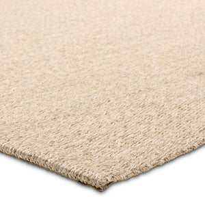 Jaipur Living Naturals Sanibel Tristan Nas12 Handwoven Handmade 100% Sisal Solids Solid Indoor Rug Tan 100% Sisal, 100% Latex Rug161173