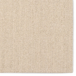 Jaipur Living Naturals Sanibel Tristan Nas12 Handwoven Handmade 100% Sisal Solids Solid Indoor Rug Tan 100% Sisal, 100% Latex Rug161173