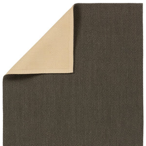 Jaipur Living Naturals Sanibel Lilou Nas13 Handwoven Handmade 100% Sisal Solids Solid Indoor Rug Gray 100% Sisal, 100% Latex Rug161639