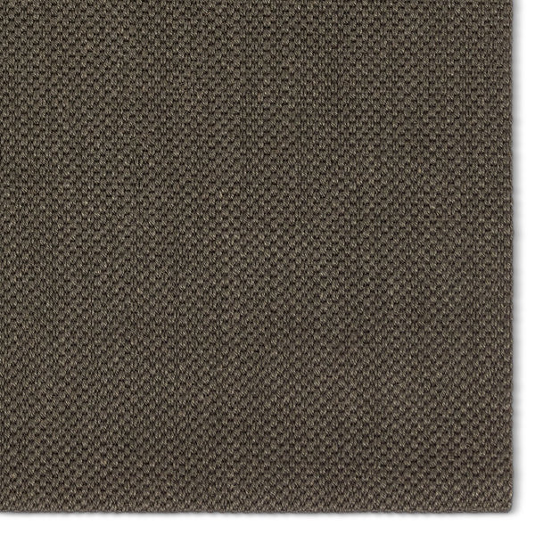 Jaipur Living Naturals Sanibel Lilou Nas13 Handwoven Handmade 100% Sisal Solids Solid Indoor Rug Gray 100% Sisal, 100% Latex Rug161639