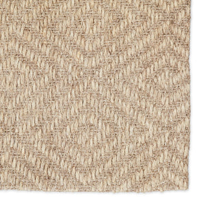 Jaipur Living Naturals Tobago Tampa Nat07 Handwoven Handmade 100% Sisal Geometric Tribal Indoor Rug Tan 100% Sisal, 100% Latex Rug119137