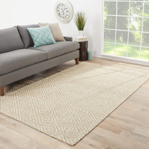 Jaipur Living Naturals Tobago Tampa Contemporary Bohemian Handmade Indoor Rug Gray 3'x10'