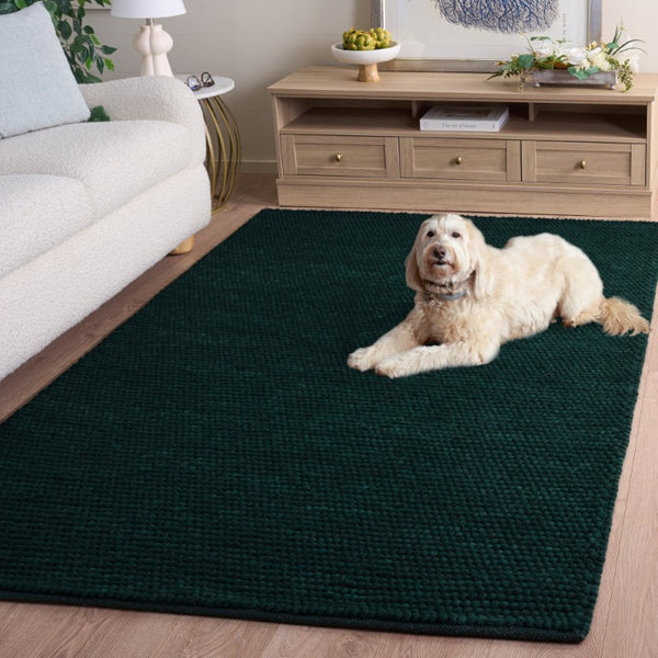 Safavieh Natura Hand Woven Wool Cotton Solid Green Area Rug for Living Room or Bedroom NAT220Y-5