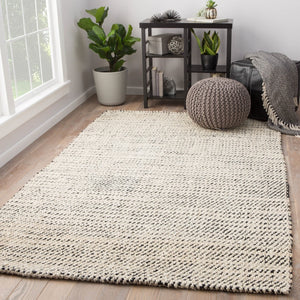 Jaipur Living Naturals Tobago Almand Contemporary Transitional Handmade Indoor Rug White 4'x6'