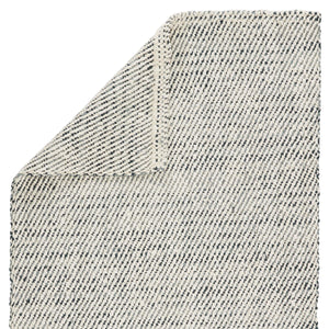 Jaipur Living Jaipur Living Hand Loomed Jute Flatweave Accent Rug Organic Texture for Entryways 2' x 3' RUG138272