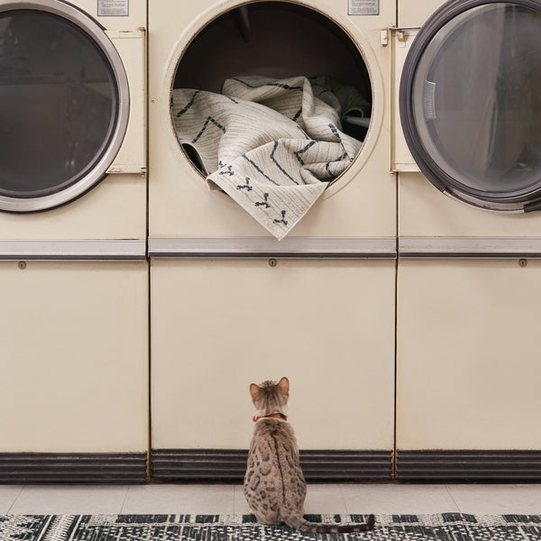 Jaipur Living Nadine Taos Ndn01 Powerloomed Machinemade 100% Polyester Moroccan / Bohemian Tribal Indoor Rug Ivory, Dark Slate 100% Polyester Rug154171