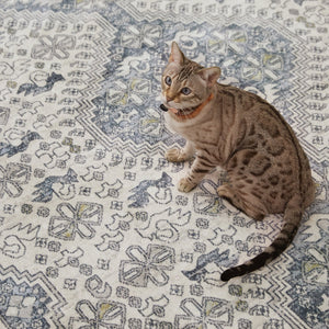 Jaipur Living Nadine Yucca Ndn06 Powerloomed Machinemade 100% Polyester Traditional Medallion Indoor Rug Blue, Cream 100% Polyester Rug155518