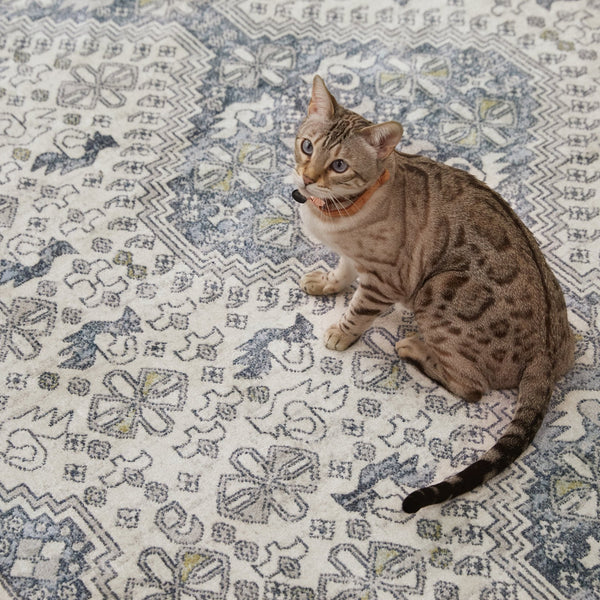 Jaipur Living Nadine Yucca Ndn06 Powerloomed Machinemade 100% Polyester Traditional Medallion Indoor Rug Blue, Cream 100% Polyester Rug155518