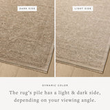 Loloi Newman NEW-01 Power Loomed Traditional Runner Rug Taupe ,Bone 100% Space Dyed Polyester NEWMNEW-01TABO2780