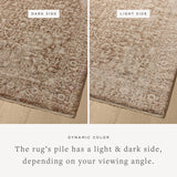 Loloi Newman NEW-02 Power Loomed Traditional Area Rug Bark ,Natural 100% Space Dyed Polyester NEWMNEW-02BSNA7A0R