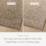 Loloi Newman NEW-02 Power Loomed Traditional Area Rug Dark Taupe ,Natural 100% Space Dyed Polyester NEWMNEW-02DTNA679A