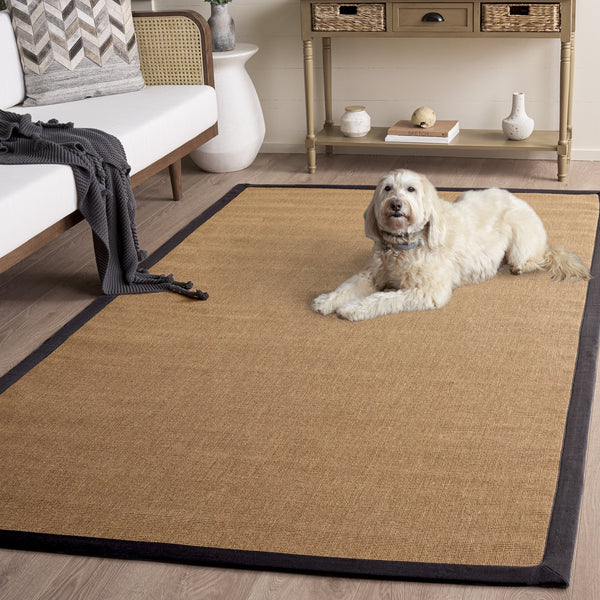 Safavieh Natural Handcrafted Jute Area Rug 8X10 Flatweave In Natural & Dark Grey — Low-Profile Durable Texture 9'-0" x 12'-0" NF194F-9