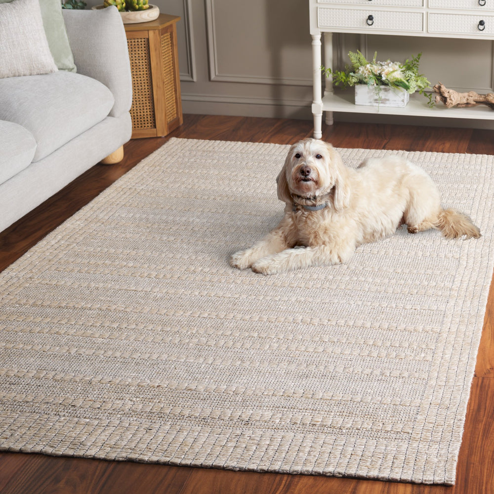 Safavieh Natural Hemp-Cotton Jacquard 6X9 Ivory Rug — Handcrafted Indian Weave, Sustainable Soft Textured Stripe NF558A-6