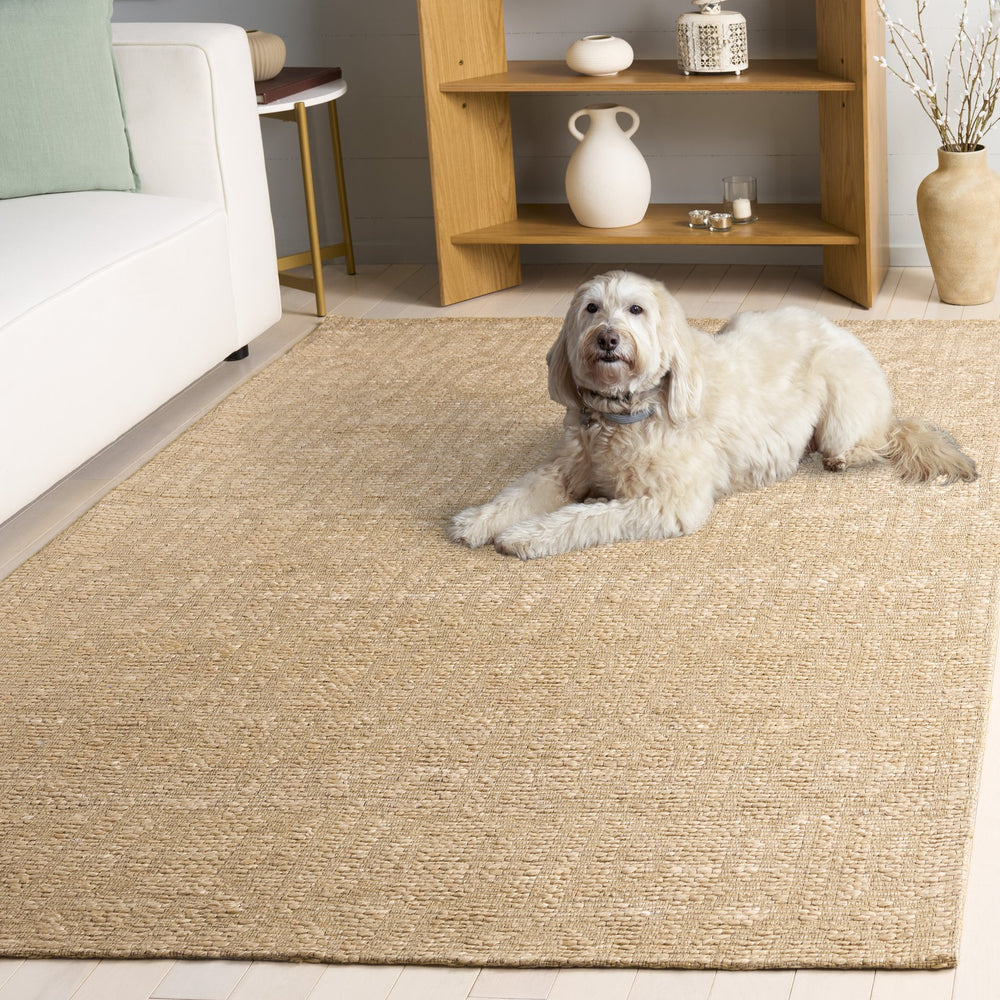 Safavieh Natural Hand-Woven Jute Rug With Geometric Jacquard Pattern, Neutral Textured Area Rug For Home 4'-0" x 6'-0" NF573A-4