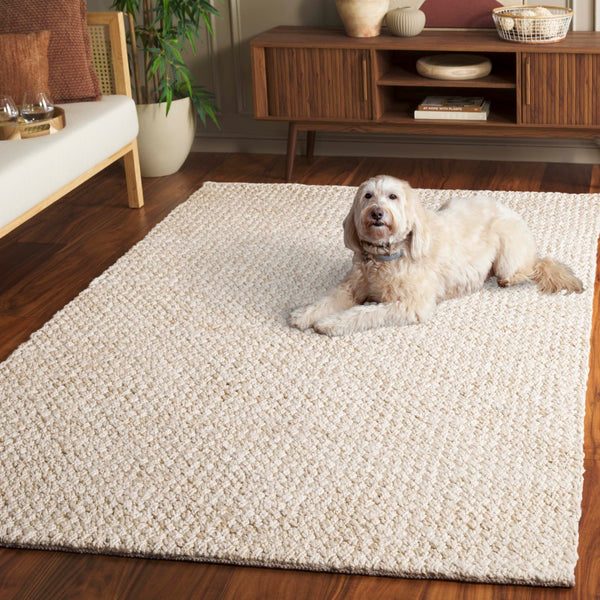 Safavieh Natural Area Rug - Handcrafted Jute & Cotton Flatweave, Lightweight Design For Cozy Modern Spaces Bleach ,Ivory 65% Jute & 35% Cotton Nfb876b-4