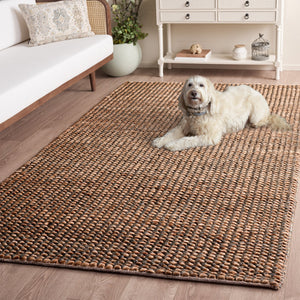 Safavieh Natural Handwoven Jute-Cotton Area Rug In Natural Silver — Textured, Durable, Coastal-Ready Accent 4'-0" x 6'-0" NFC110G-4