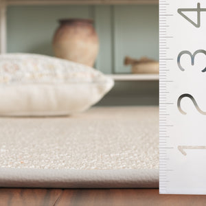 Safavieh Napa Stylish Faux Sisal Jacquard Weave Rug With Elegant Beige Border For Modern Home Décor Natural ,Beige Polypropylene + Polyuretheane Border Nfs148a-5