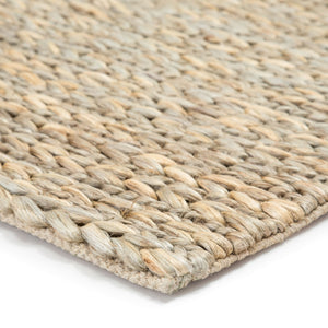 Jaipur Living Jaipur Living Calista Hand Loomed Jute Area Rug Coastal Organic Texture for Transitional Rooms 9' x 12' RUG139527