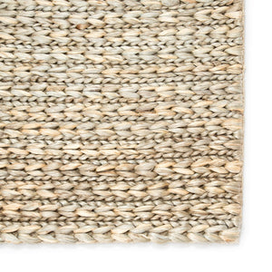 Jaipur Living Jaipur Living Calista Hand Loomed Jute Area Rug Coastal Organic Texture for Transitional Rooms 9' x 12' RUG139527