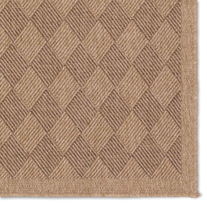 Jaipur Living Vibe by Jaipur Living Amanar Polypropylene Flatweave Rug Tribal Checkerboard Outdoor Patio 2' x 3' RUG157297