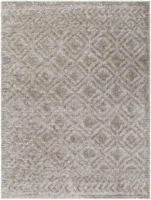 Nomadic NMC-2303 7'10" x 10' Machine Woven Rug NMC2303-71010 Livabliss Surya