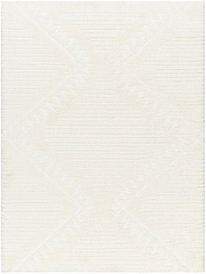 Nomadic NMC-2304 7'10" x 10' Machine Woven Rug NMC2304-71010 Livabliss Surya