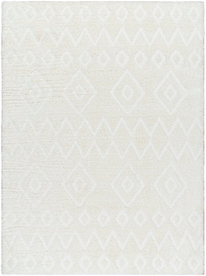 Nomadic NMC-2306 7'10" x 10' Machine Woven Rug NMC2306-71010 Livabliss Surya