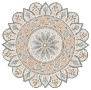 Safavieh Novelty 609 Tufted 80% Wool 20% Cotton Vintage Rug Beige / Ivory NOV609B-6R