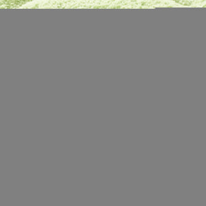 Safavieh Novelty Hand Tufted Area Rug - Exquisite Floral Design, Plush Comfort, Ideal For Cozy Home Decor Green 80% Polyester And 20% Cotton Nov903y-5r