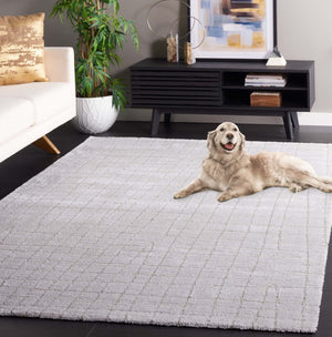 Safavieh Neptune Power Loomed Area Rug Solid Light Grey Blended Fiber Low Pile Living Room NPE864F-6
