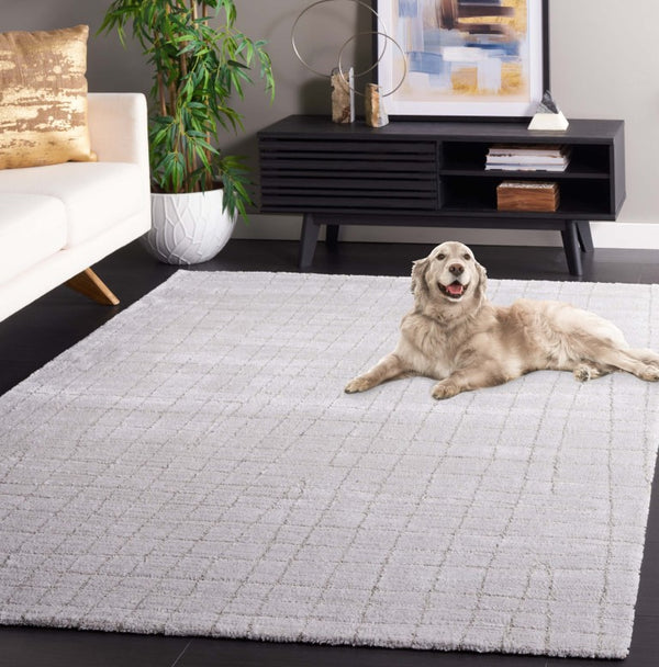 Safavieh Neptune Power Loomed Area Rug Solid Light Grey Blended Fiber Low Pile Living Room NPE864F-6