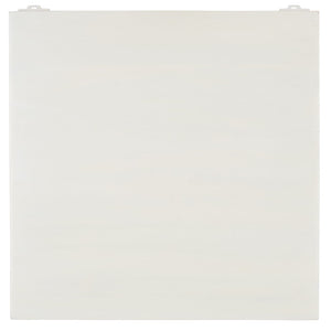 Safavieh Rayetta 2 Shelf 1 Door Nightstand White Wash NST5304A