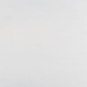 Safavieh Regius 2 Shelf 1 Door Nightstand White Wash NST5305A