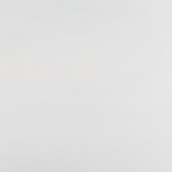 Safavieh Regius 2 Shelf 1 Door Nightstand White Wash NST5305A