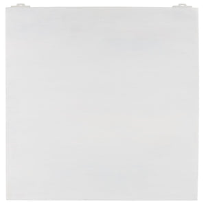 Safavieh Regius 2 Shelf 1 Door Nightstand White Wash NST5305A