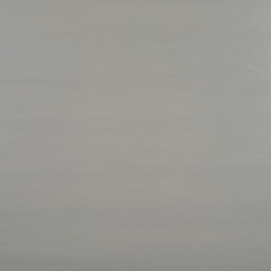 Safavieh Tiriaq 2 Shelf 1 Door Nightstand Grey Wood NST5310A